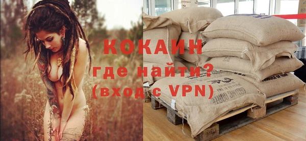 винт Абаза