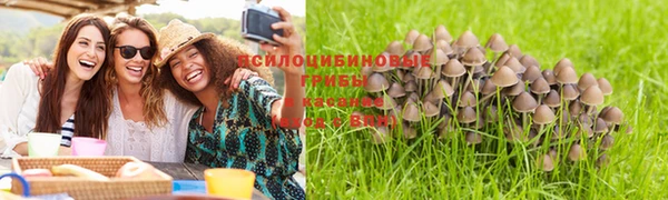 мескалин Алексин